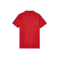 Team Polo